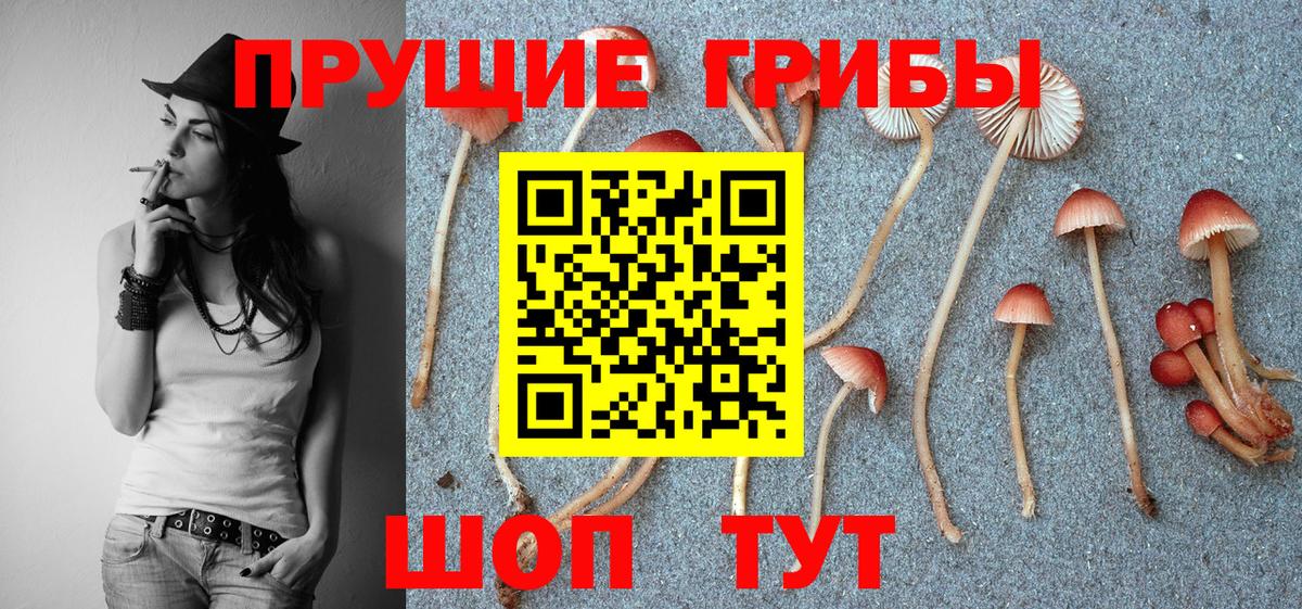 Галлюциногенные грибы Psilocybine cubensis  цены наркотик  Дальнереченск  Вход с VPN 