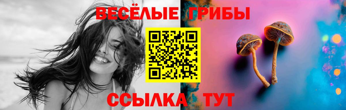 Галлюциногенные грибы Cubensis Дальнереченск